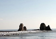서신농협제부도하나로마트 이미지