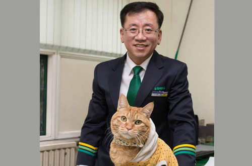인성 이미지